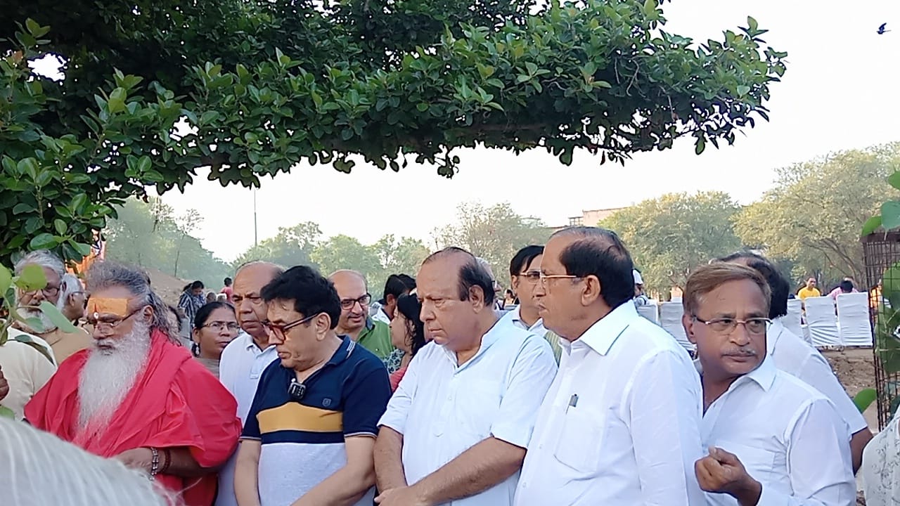 Tree Plantation